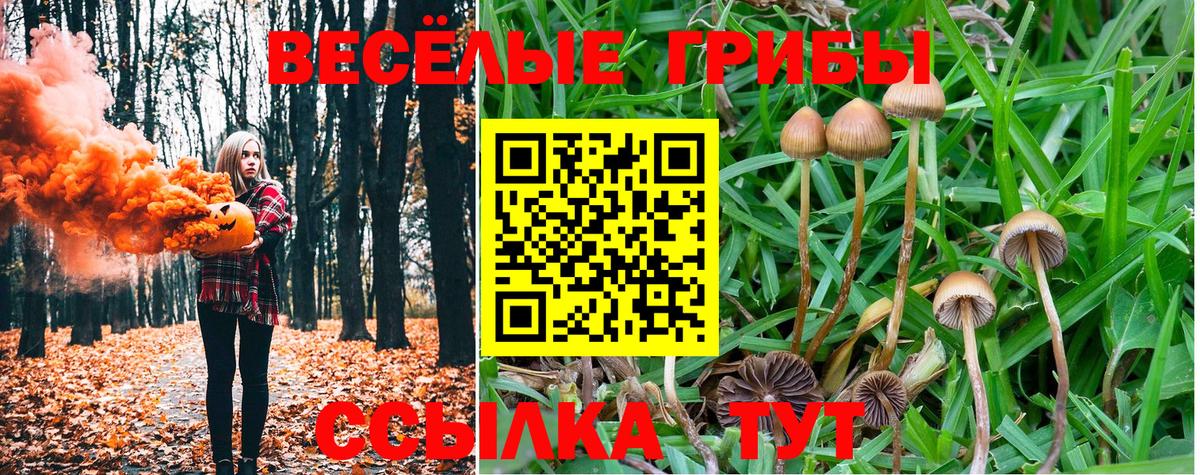 Славянск-на-Кубани  Псилоцибиновые грибы Psilocybine cubensis  Вход с VPN 